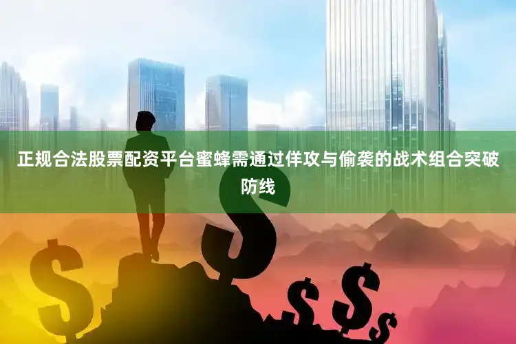 正规合法股票配资平台蜜蜂需通过佯攻与偷袭的战术组合突破防线