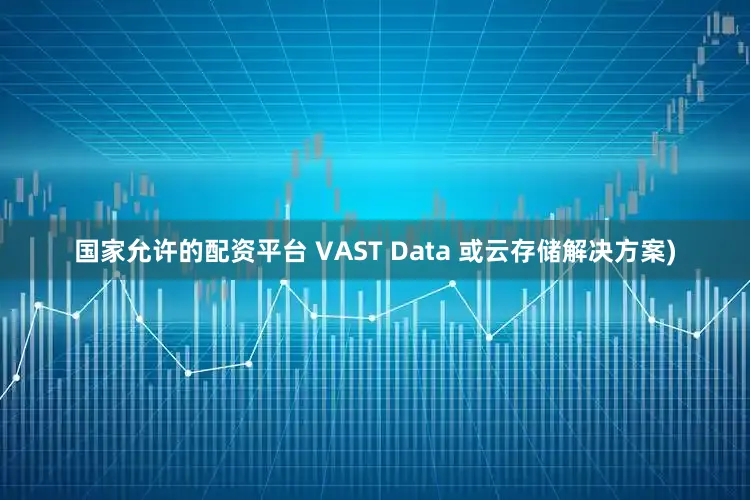 国家允许的配资平台 VAST Data 或云存储解决方案)