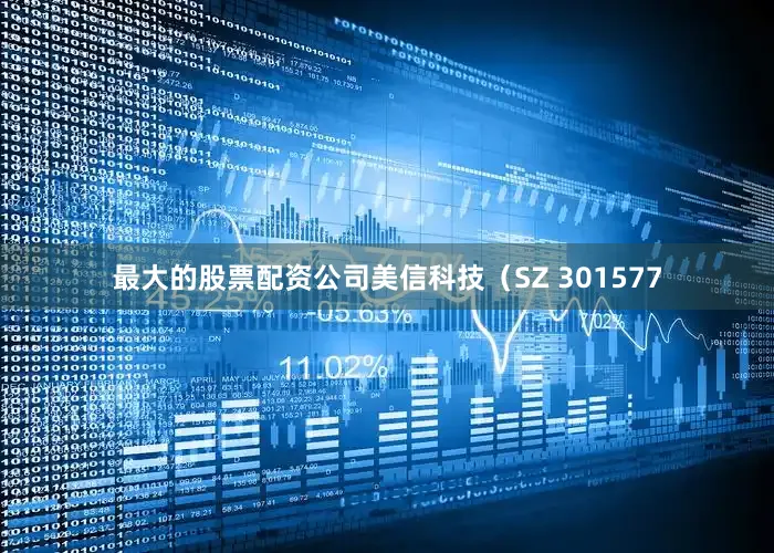 最大的股票配资公司美信科技（SZ 301577
