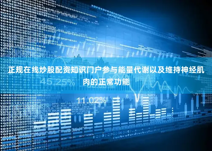 正规在线炒股配资知识门户参与能量代谢以及维持神经肌肉的正常功能