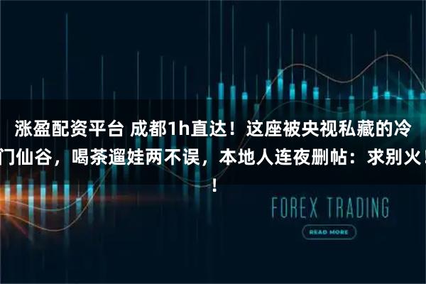 涨盈配资平台 成都1h直达！这座被央视私藏的冷门仙谷，喝茶遛娃两不误，本地人连夜删帖：求别火！