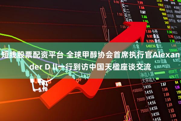 短线股票配资平台 全球甲醇协会首席执行官Alexander D ll一行到访中国天楹座谈交流